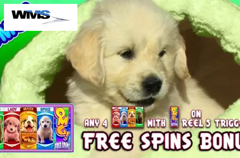 OMG! Puppies